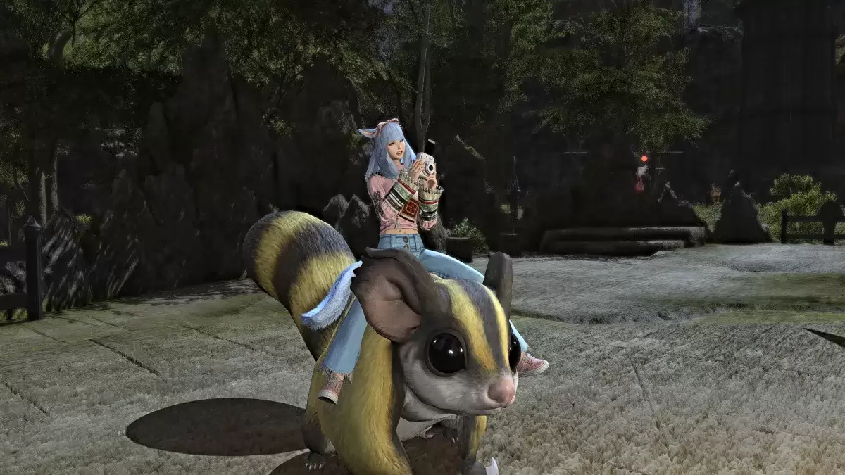 Fotografia Emote su un supporto in FFXIV